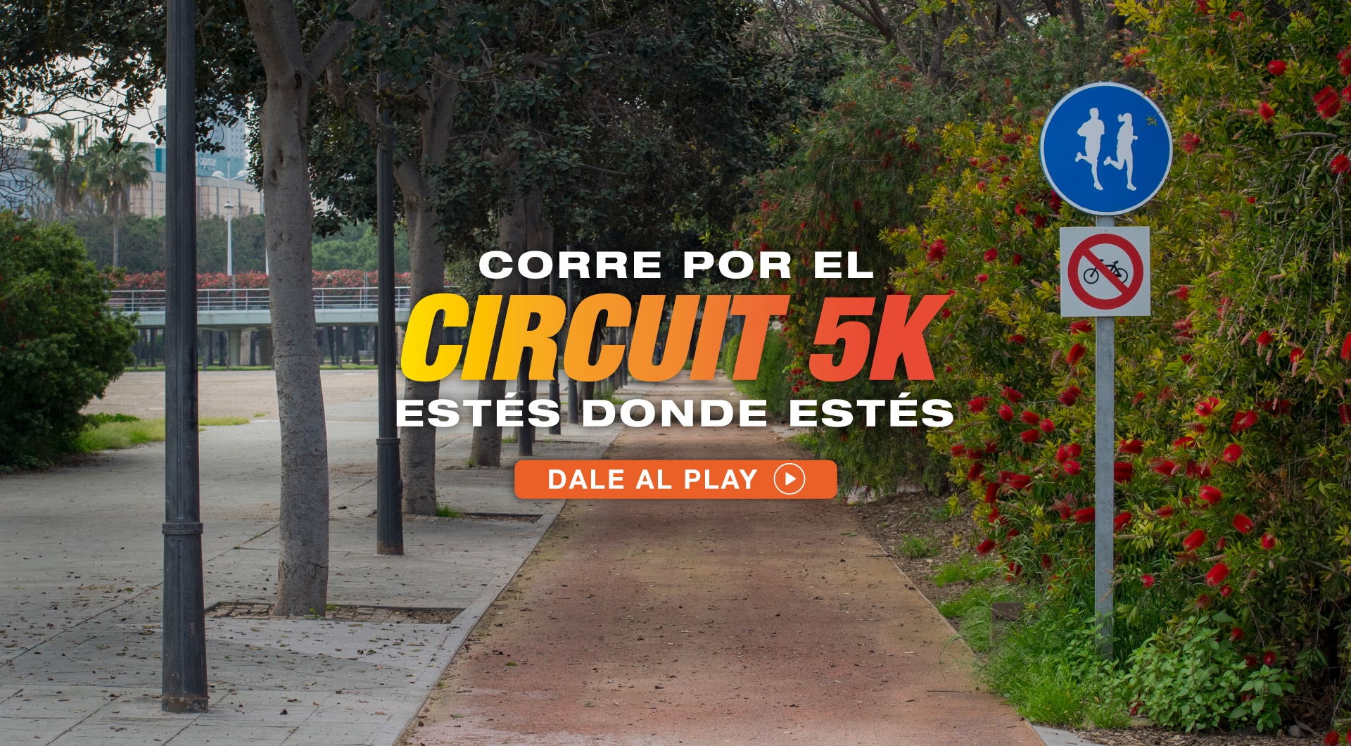 VCR_Circuit5K-virtual_1920x1060px_slider