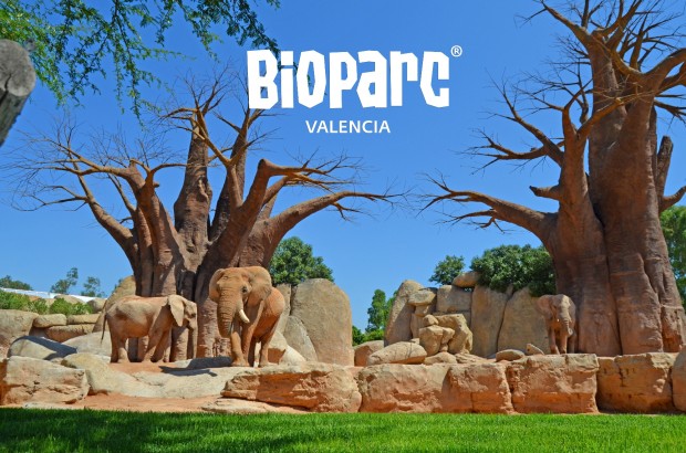 FOTO BIOPARC PARA MARATON 2015