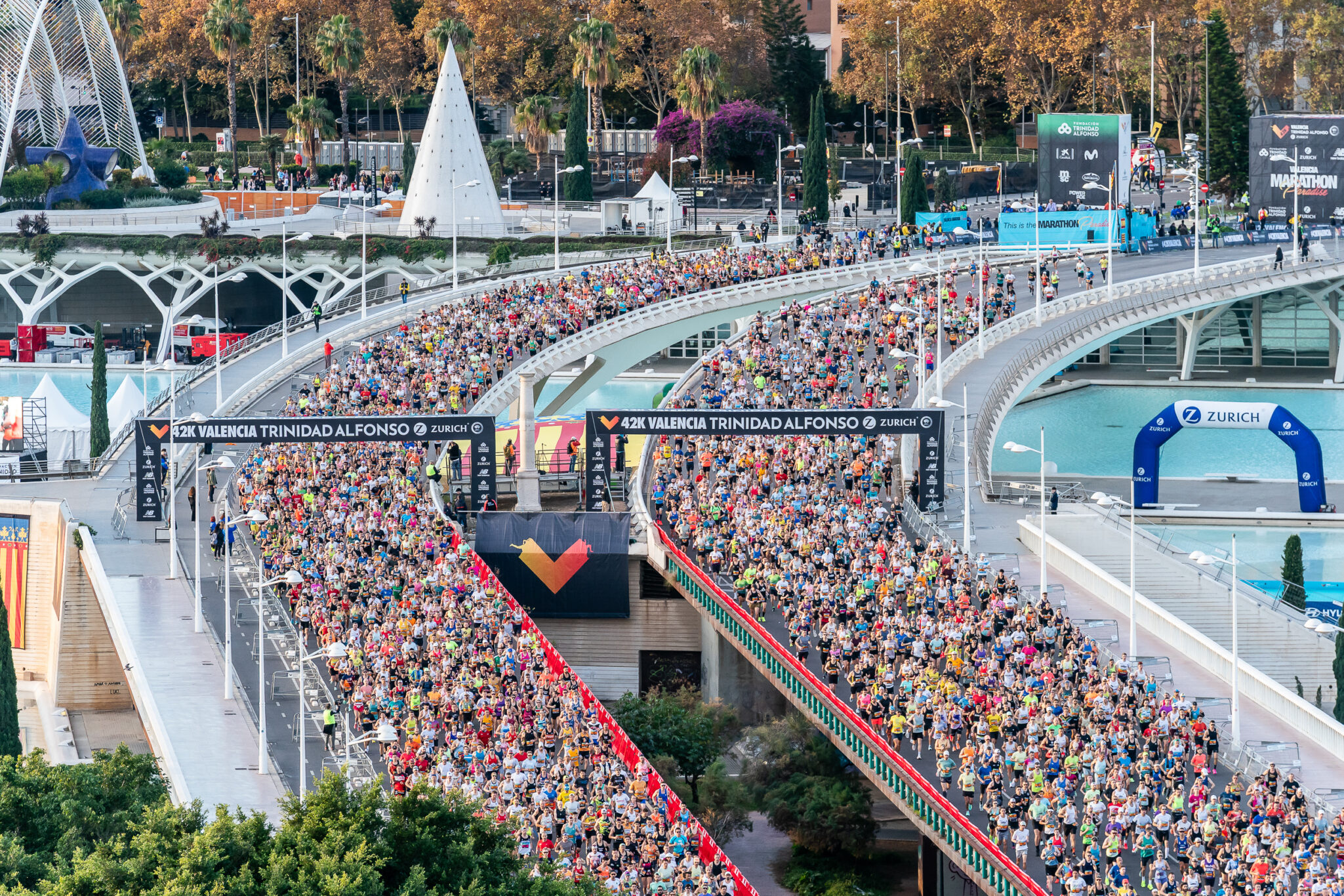 Maratón Valencia Trinidad Alfonso Zurich | 6th December 2026