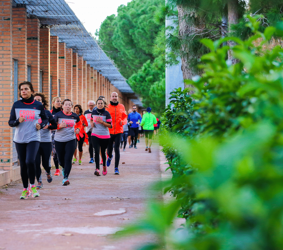 10K Entrenamiento