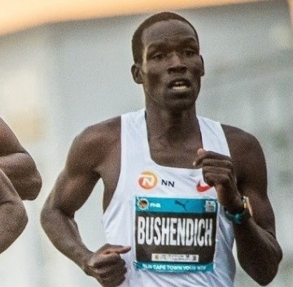 Mande Bushendich